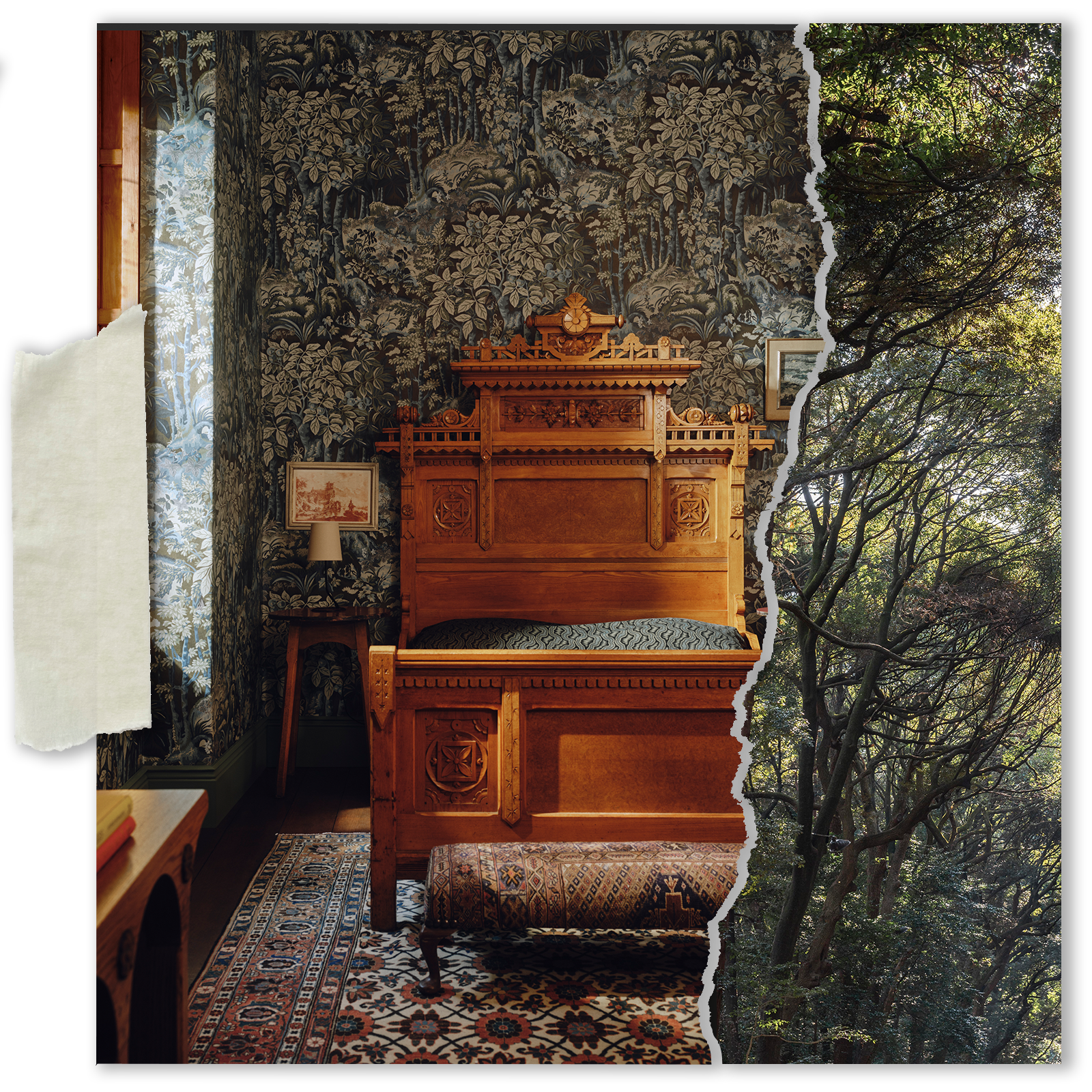 OVERSTORY - The Ecosystem of Prints