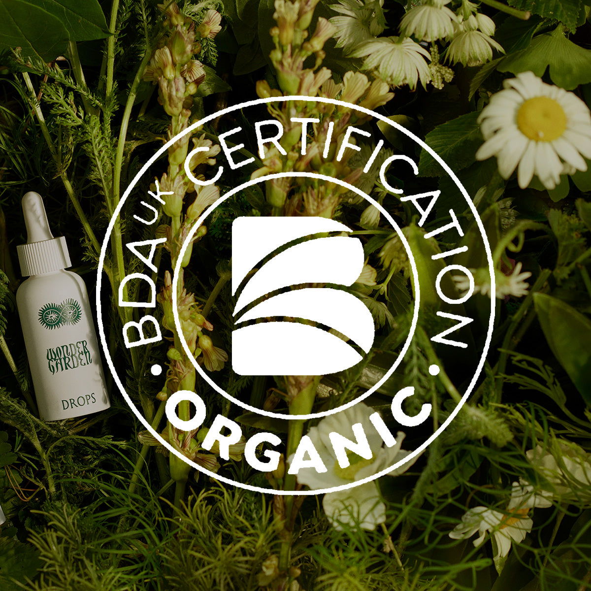 Organic Certification