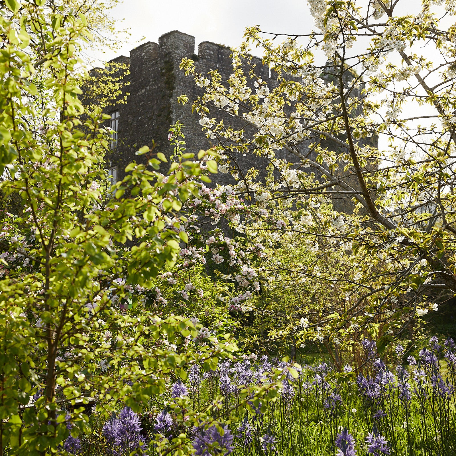 THE MOTHER GARDEN