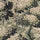 NEMOR Carpet - Verde