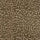 WILD CARD Carpet - Moss
