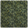 LICHEN Velvet - Midnight