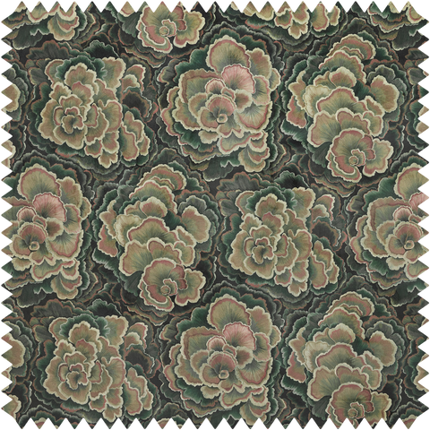 TRAMETES Velvet - Hosta Sample