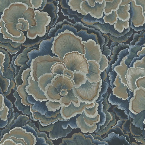 TRAMETES Wallpaper- Carex Sample