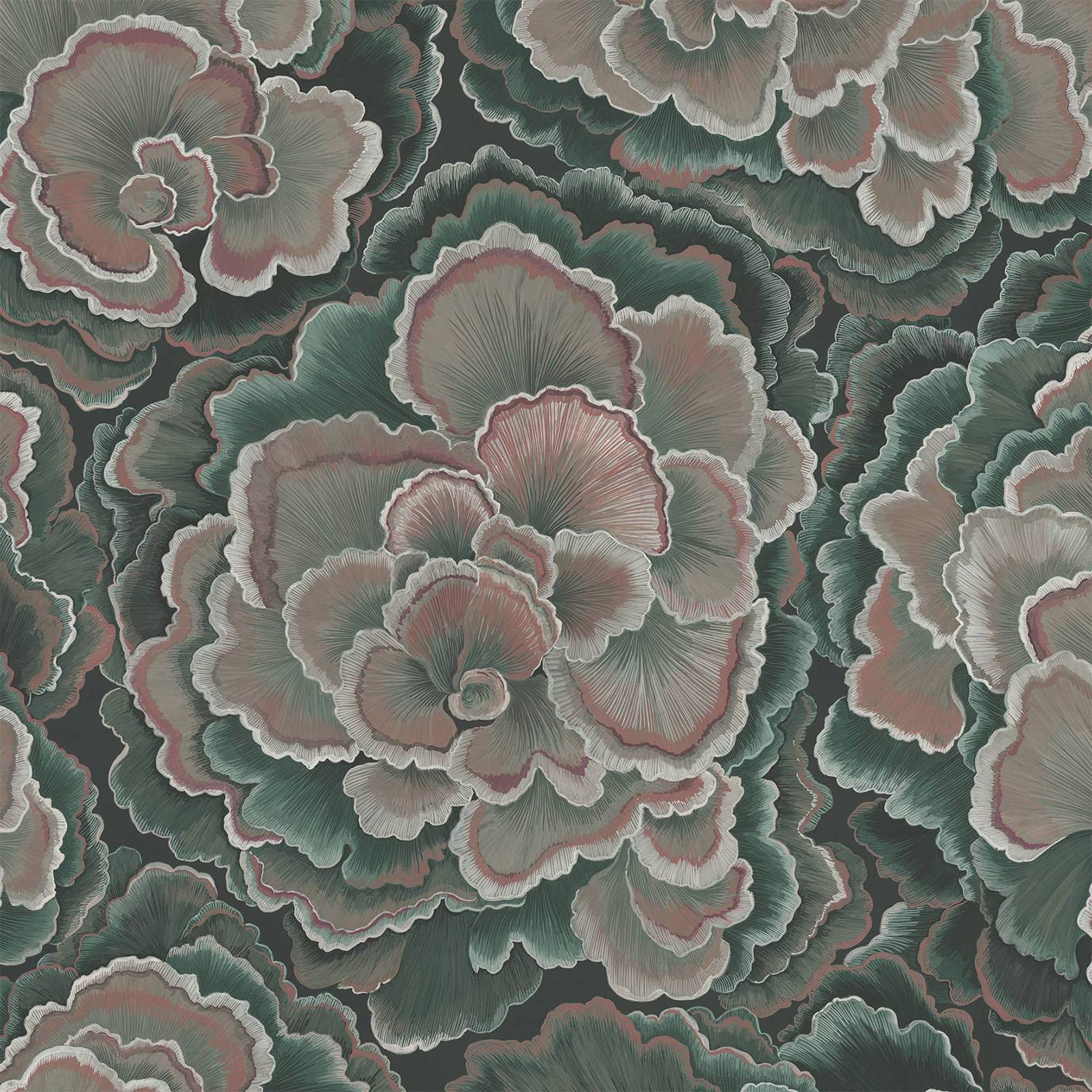 TRAMETES Wallpaper - Hosta
