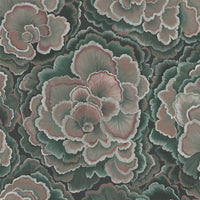 TRAMETES Wallpaper - Hosta
