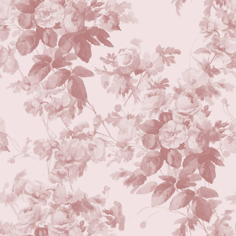 LONDON ROSE Wallpaper Traditional - Blush - Sample
