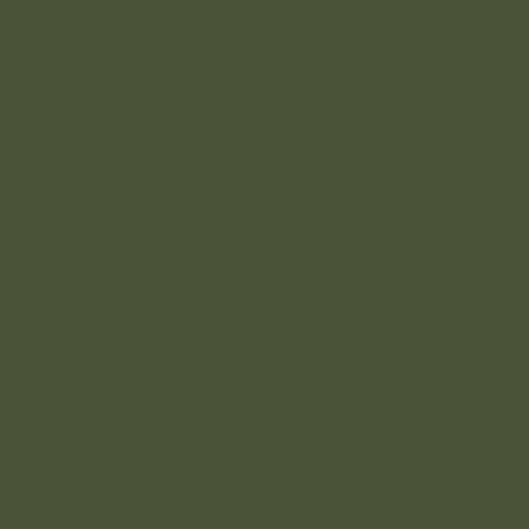 NEPHRITE Paint - 60 secondary image
