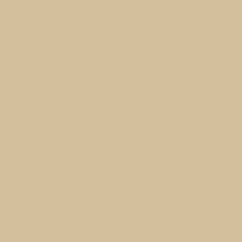 ALMOND Paint -114 Swatch