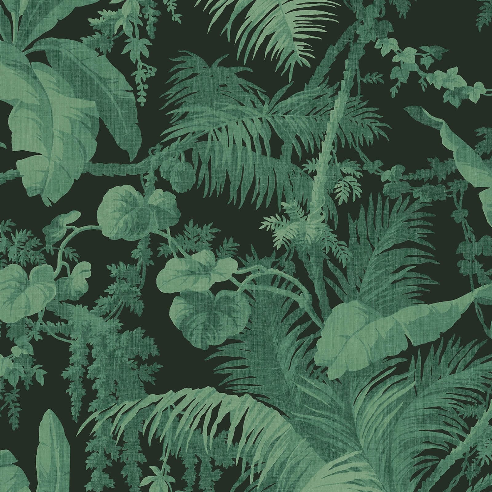 PAMPAS Wallpaper - Noir
