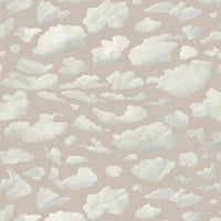 STRATUS Wallpaper - Amanita
