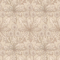 TARAXA  Wallpaper - Phlox